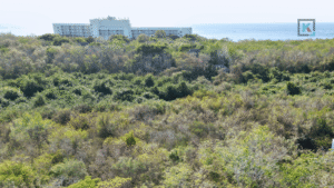 suites-cozumel-109-