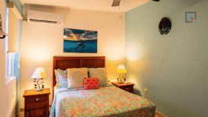 althea-cozumel-11