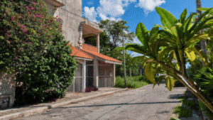 casa-bougainvillea-