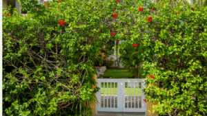 las-ventanas-cozumel-