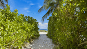 hacienda-monte-cristo-cozumel-