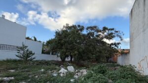 Terreno en venta en el centro de Cozumel